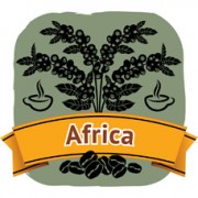 商用咖啡豆‧埃塞俄比亞‧西達摩 (800g)